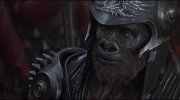 Planet of the Apes