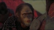 Planet of the Apes