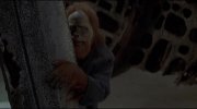 Planet of the Apes