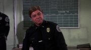 Police Academy 2: Their First Assignment