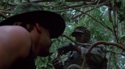 Predator