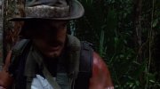 Predator