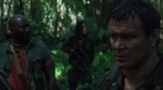Predators