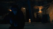 Primate