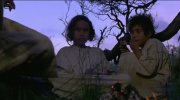Rabbit-Proof Fence
