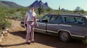 Raising Arizona