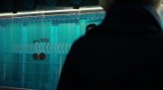 Red Sparrow
