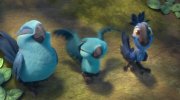 Rio 2
