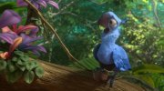 Rio 2