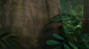 Rio 2