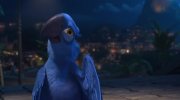 Rio
