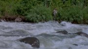 Romancing the Stone