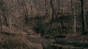 Rust Creek