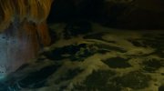 Sanctum