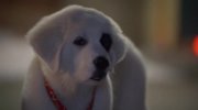 Santa Paws 2: The Santa Pups