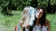 Shallow Grave