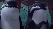 Shark Tale