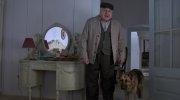 Shepherd: The Story of a Jewish Dog