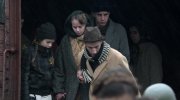 Shepherd: The Story of a Jewish Dog
