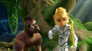Shimmy: The First Monkey King