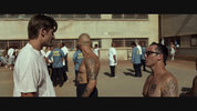 Shot Caller
