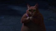 Shrek Forever After