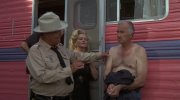 Smokey and the Bandit