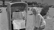 Some Like It Hot
