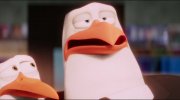 Storks