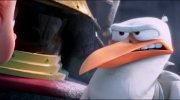 Storks