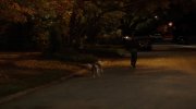 Stuck in Love