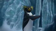 Surf's Up