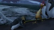 Surf's Up