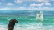 Surf's Up
