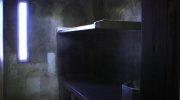 Survivor's Guide to Prison