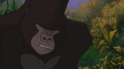 Tarzan