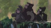 Tarzan