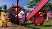The Angry Birds Movie