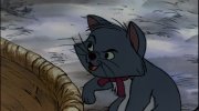 The AristoCats