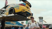 The Art of Racing in the Rain
