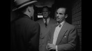 The Asphalt Jungle