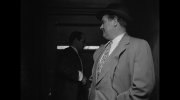 The Asphalt Jungle