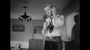 The Asphalt Jungle