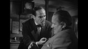 The Asphalt Jungle