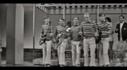 The Beach Boys