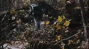 The Blair Witch Project