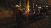 The Brothers Grimm