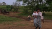 The Color Purple