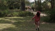 The Conjuring