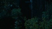 The Crow